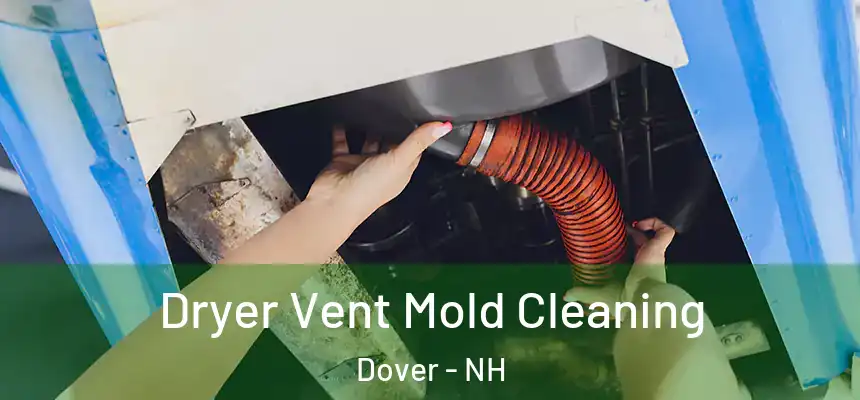  Dryer Vent Mold Cleaning Dover - NH