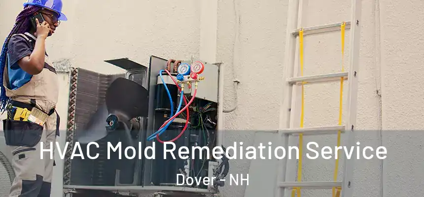 HVAC Mold Remediation Service Dover - NH