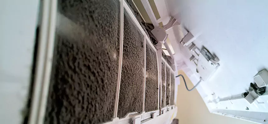 Preventive Air Duct Bacteria Removal in Dover