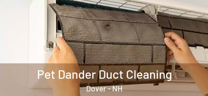  Pet Dander Duct Cleaning Dover - NH