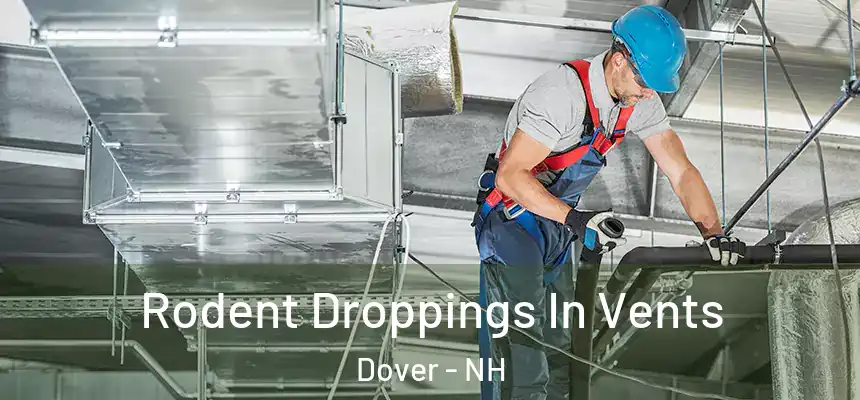  Rodent Droppings In Vents Dover - NH