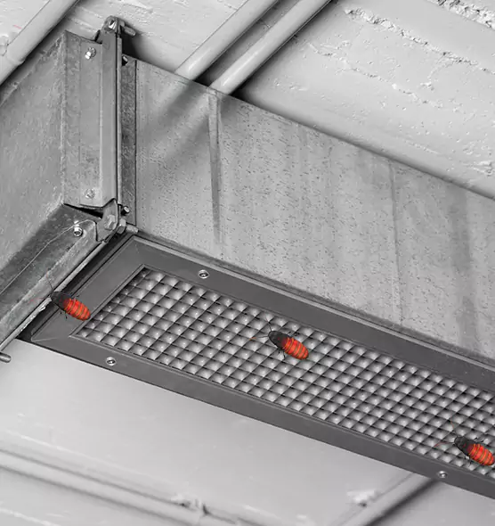 About Air Duct Cockroach Removal in Dover, NH
