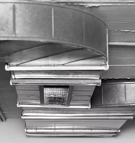 Professional Air Duct Pest Removal in Dover, NH