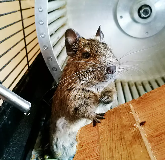 Why Homeowners & Businesses Trust Us Dover, NH?